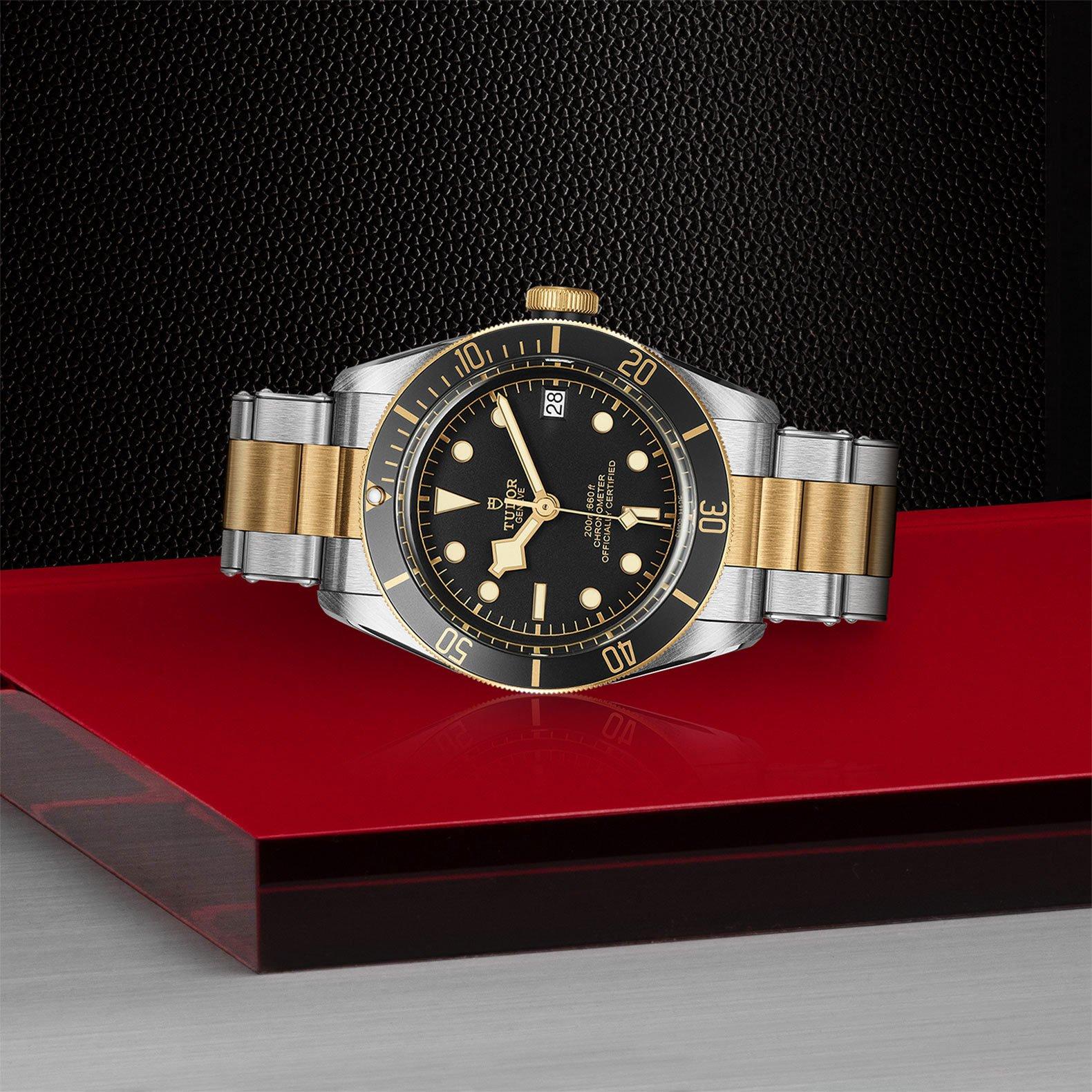 TUDOR Black Bay S&G 41mm Automatic Men's Watch