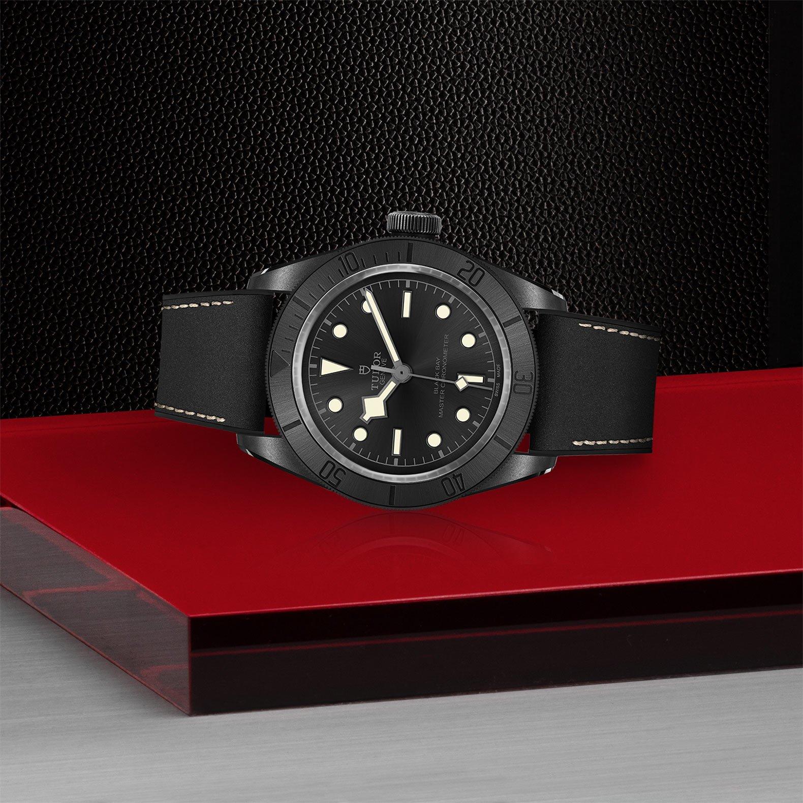 Black bay. Tudor Black Bay Ceramic. Tudor Black Bay 41 mm. M79210cnu-0001 Black Bay. Tudor Black Bay 41mm задняя крышка.