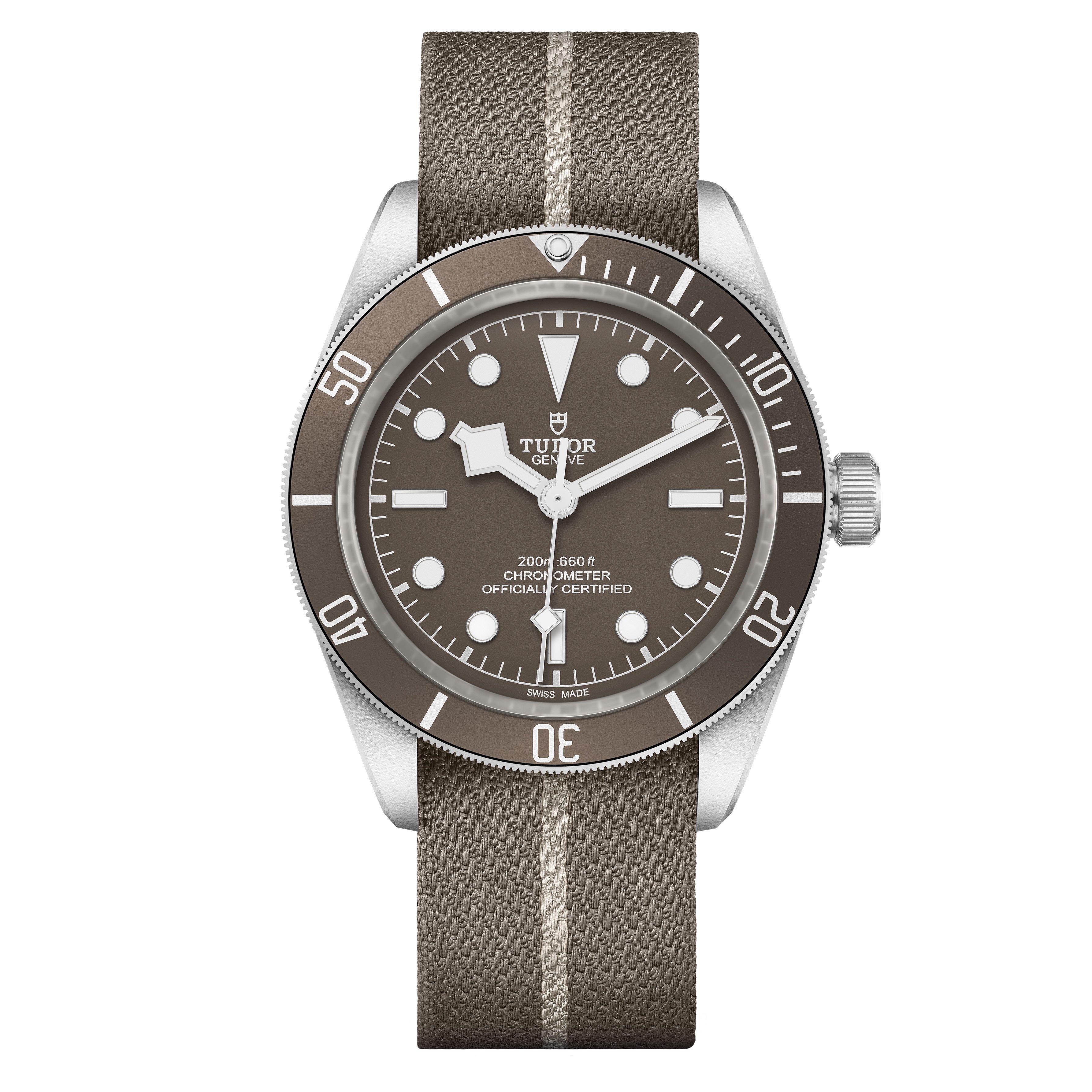 Image of TUDOR Pre-Owned Black Bay 58 925 Silver Automatic Men's Watch